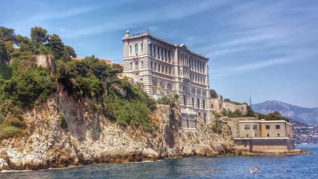 Oceanarium Monaco – Fascynujące życie morskie i atrakcje muzeum Oceanarium Monaco – Fascynujące życie morskie i atrakcje muzeum