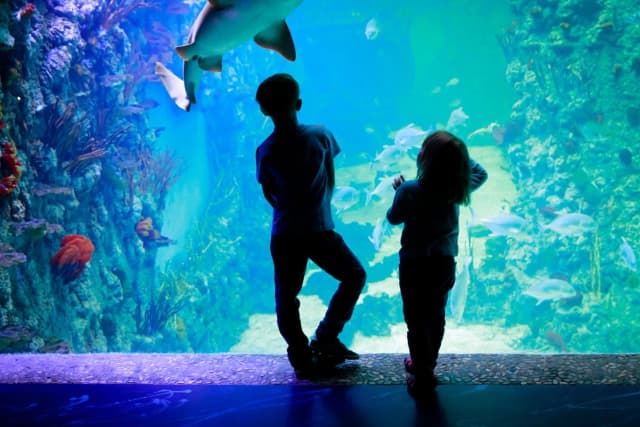 Kołobrzeg atrakcje dla dzieci: oceanarium pełne niespodzianek Kołobrzeg atrakcje dla dzieci: oceanarium pełne niespodzianek