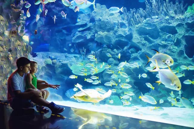 Oceanarium Kielce - Jak wykorzystać bon turystyczny i co zobaczyć? Oceanarium Kielce - Jak wykorzystać bon turystyczny i co zobaczyć?