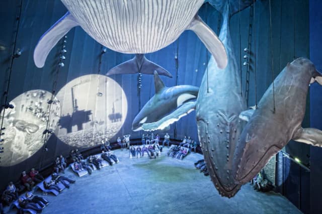 Ozeaneum w Stralsundzie: Fascynujące życie morskie na wyciągnięcie ręki Ozeaneum w Stralsundzie: Fascynujące życie morskie na wyciągnięcie ręki