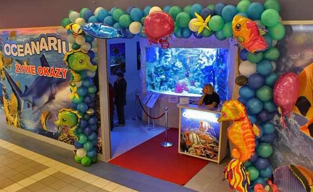 Oceanarium Warszawa Blue City - Fascynujące życie morskie i atrakcje Oceanarium Warszawa Blue City - Fascynujące życie morskie i atrakcje