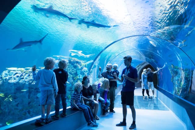 Oceanarium lubelskie - odkryj sekretne atrakcje i godziny otwarcia Oceanarium lubelskie - odkryj sekretne atrakcje i godziny otwarcia