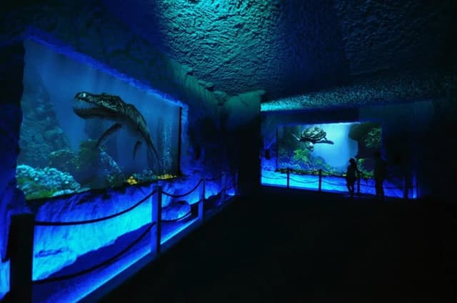 Prehistoryczne oceanarium: odkryj fascynujący świat morskich dinozaurów Prehistoryczne oceanarium: odkryj fascynujący świat morskich dinozaurów