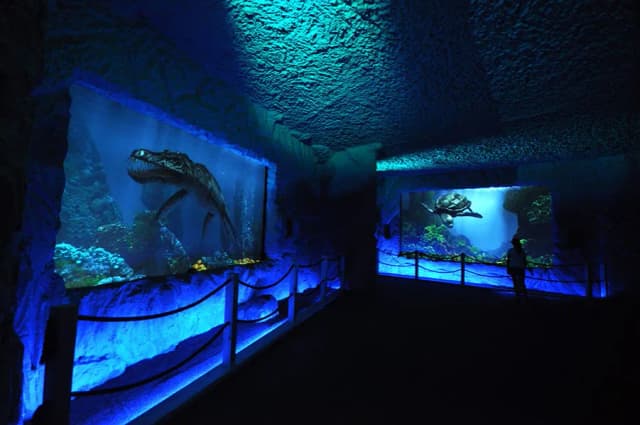 Bałtów oceanarium: Fascynujące atrakcje i edukacja o prehistorii Bałtów oceanarium: Fascynujące atrakcje i edukacja o prehistorii